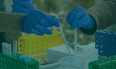 Fostering market development, standards, and demand-side policies for bio-based products