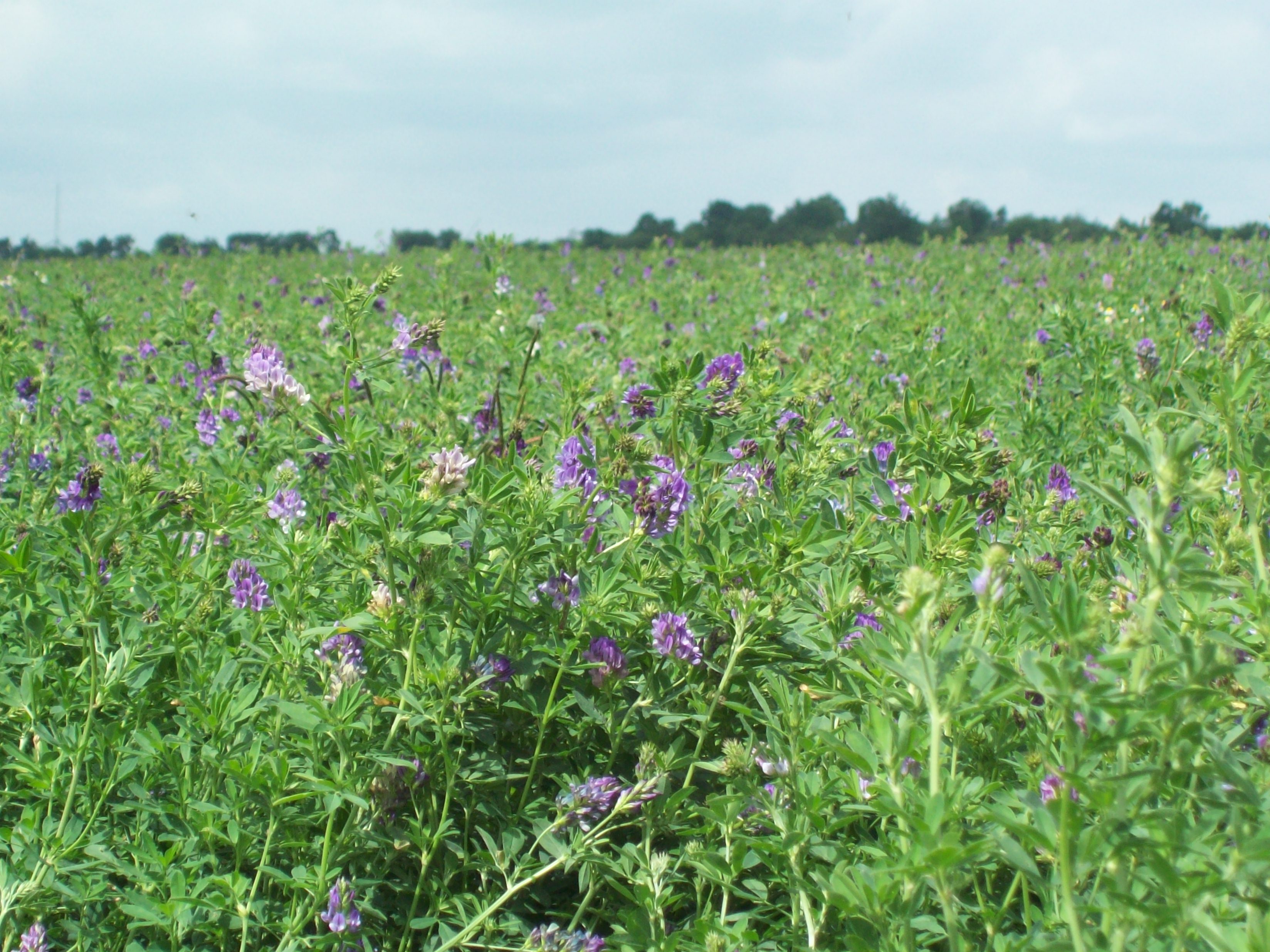 “More transparency is needed in publicly funded research activities”