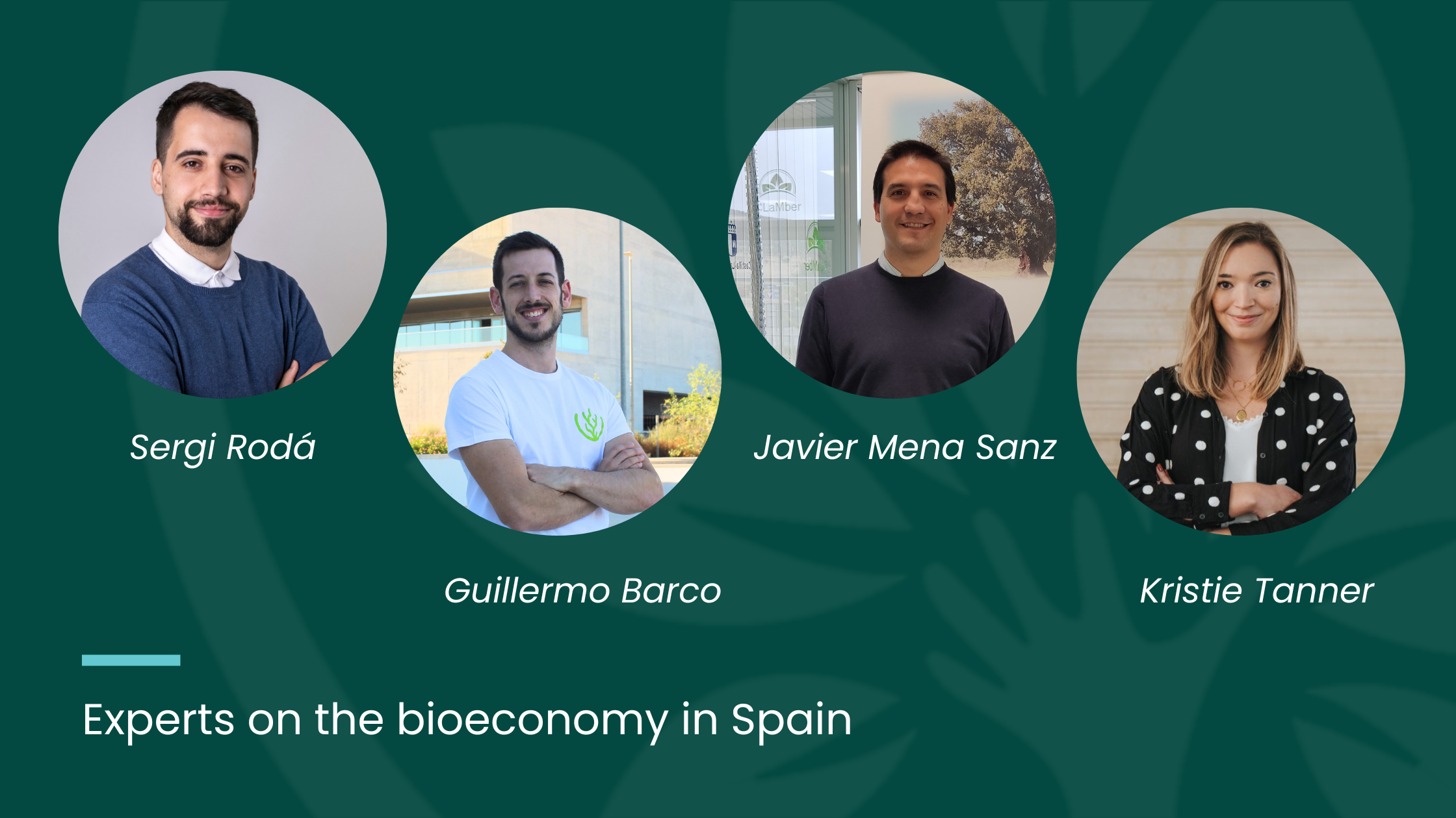 Bioeconomy in Spain: A country with great potential, but still far from the commitment seen in other European regions