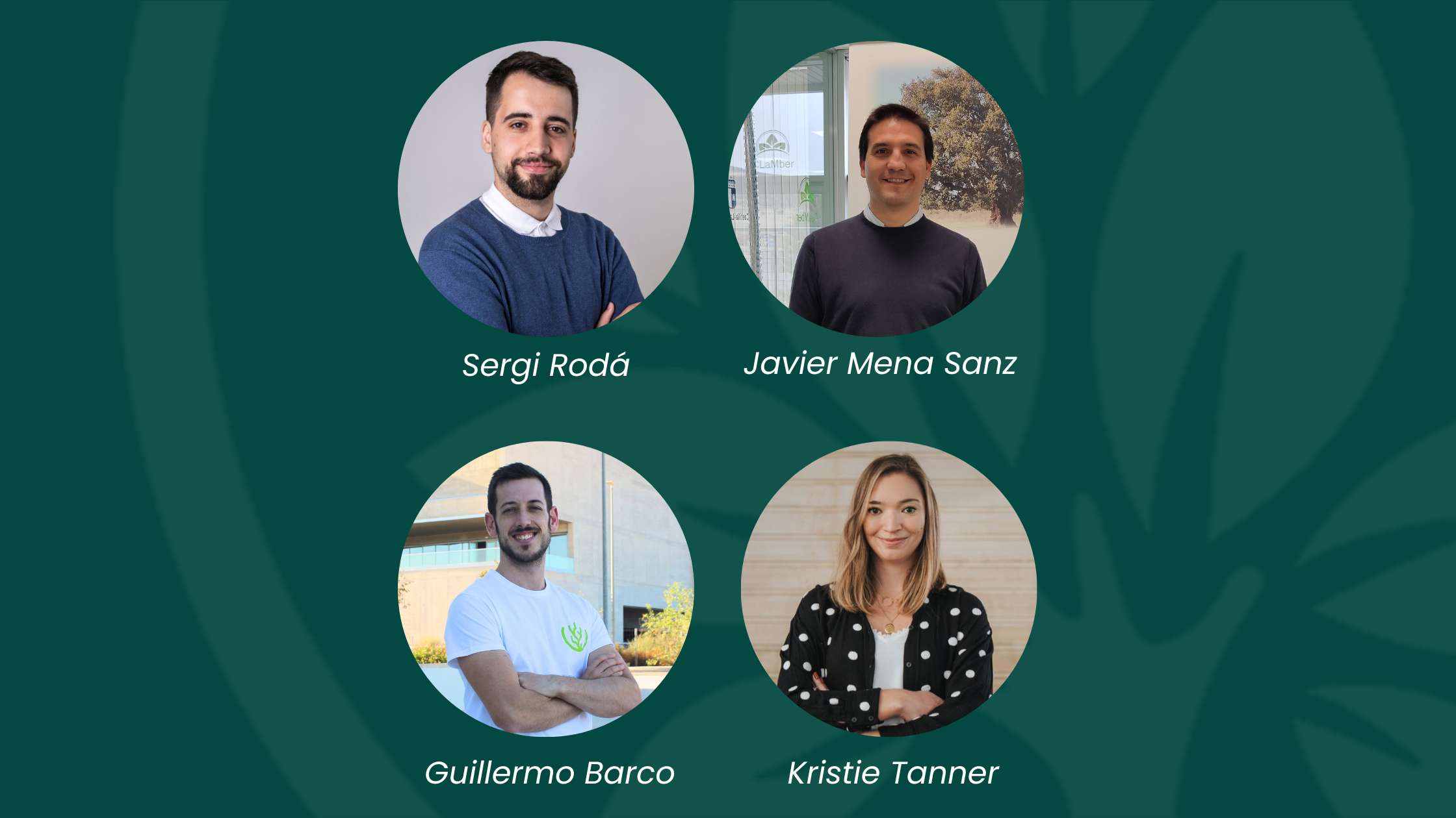 Bioeconomy in Spain: A country with great potential, but still far from the commitment seen in other European regions