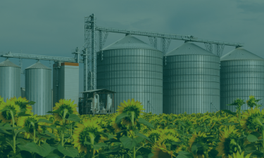 Strengthening the Bioeconomy Innovation System through Policy and Governance