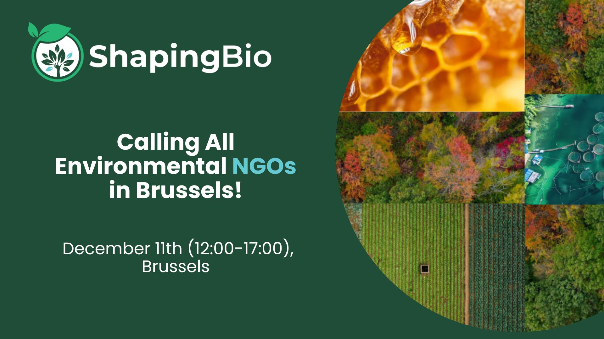 Integrating NGOs’ needs in bioeconomy policy and governance in EU