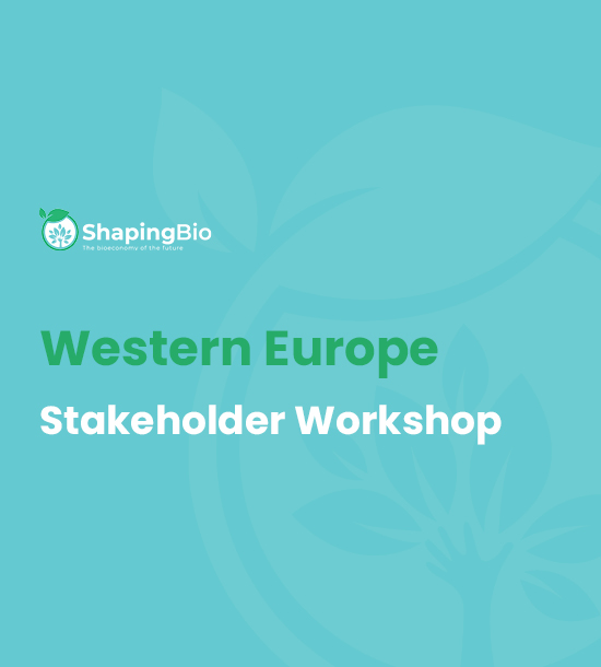 Western Europe stakeholder workshop