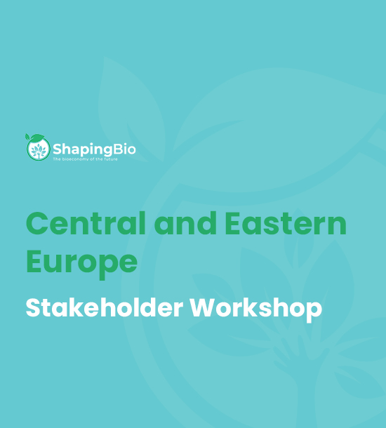 Central and Eastern Europe stakeholder workshop