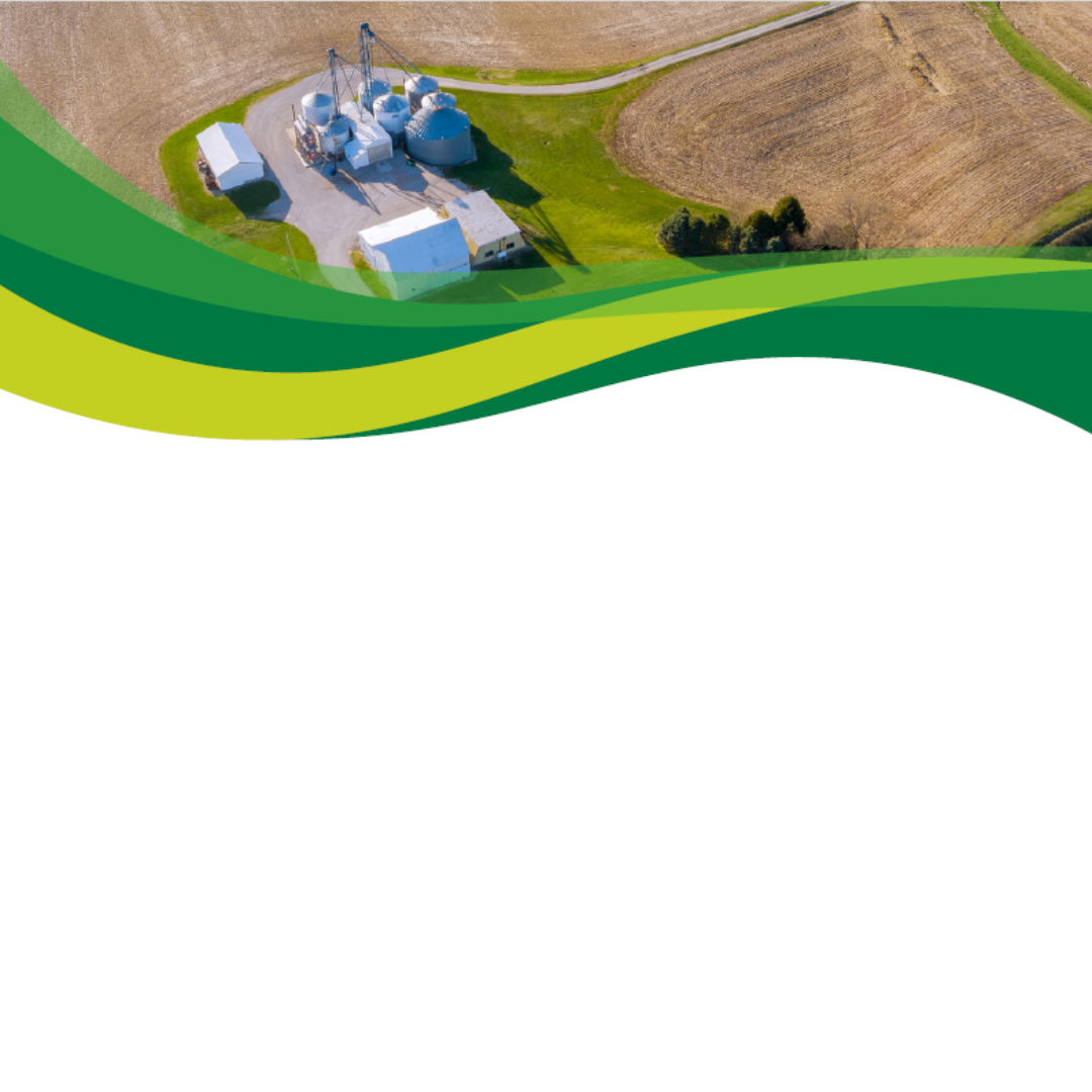  Bridging the Funding Gap: Scaling Innovations in Circular Bioeconomy