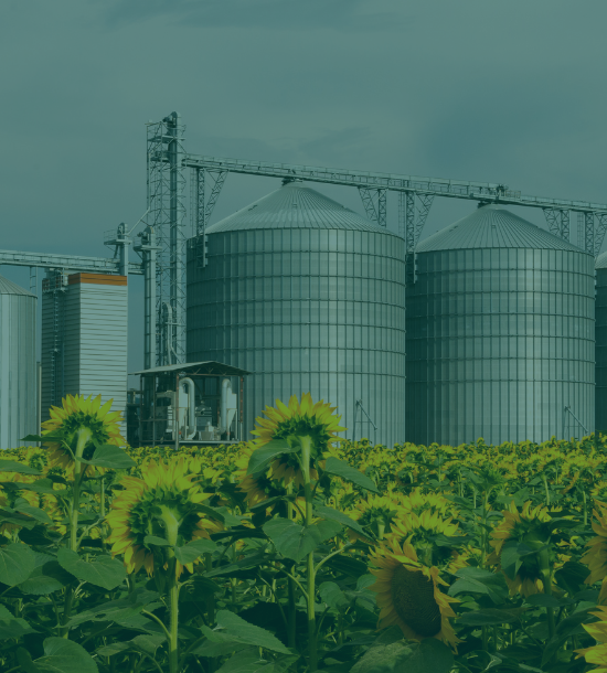 Strengthening the Bioeconomy Innovation System through Policy and Governance 