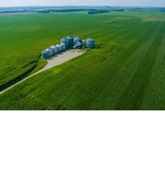 New CORDIS article highlights ShapingBio’s role in advancing the bioeconomy