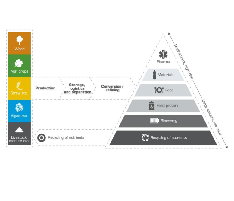 New business opportunities within biorefining and cascade utilisation