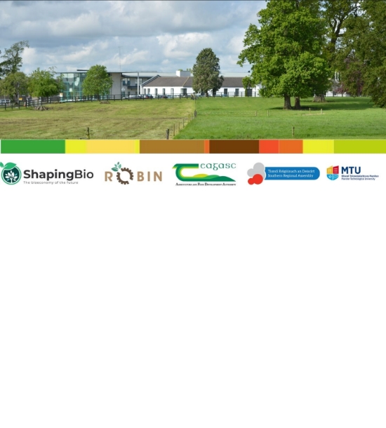 Unlocking Ireland’s Bioeconomy Potential: Policy Insights and Practical Tools for Regional Development